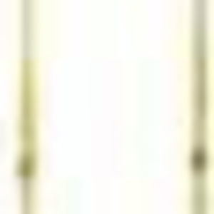 Meet your Posher, Yazan